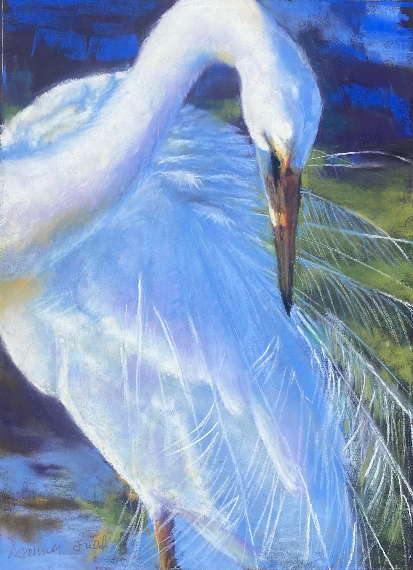 Egret Sunset - pastel on paper