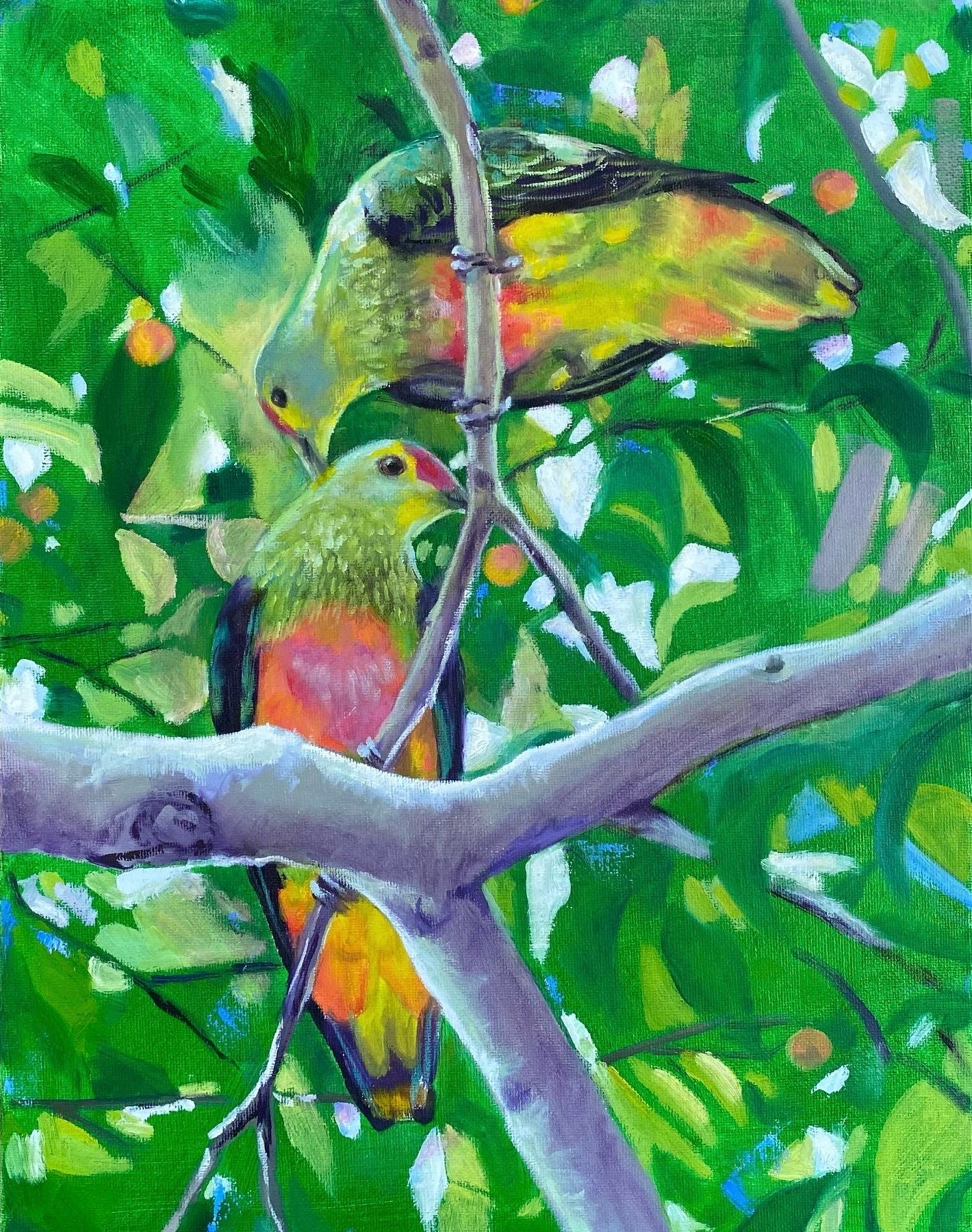 Art Pint - Rose Crowned Fruit Dove