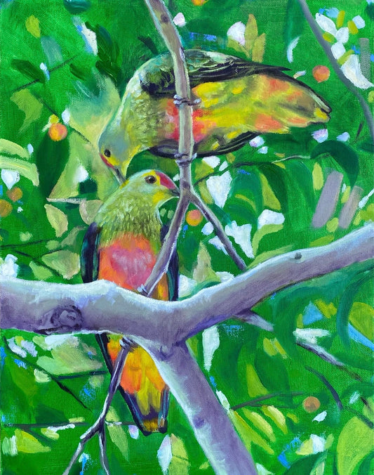 Art Pint - Rose Crowned Fruit Dove