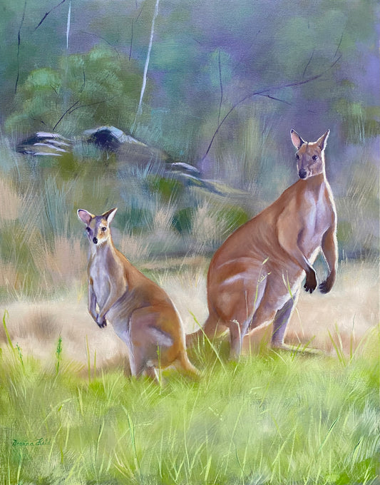 Agile Wallabies