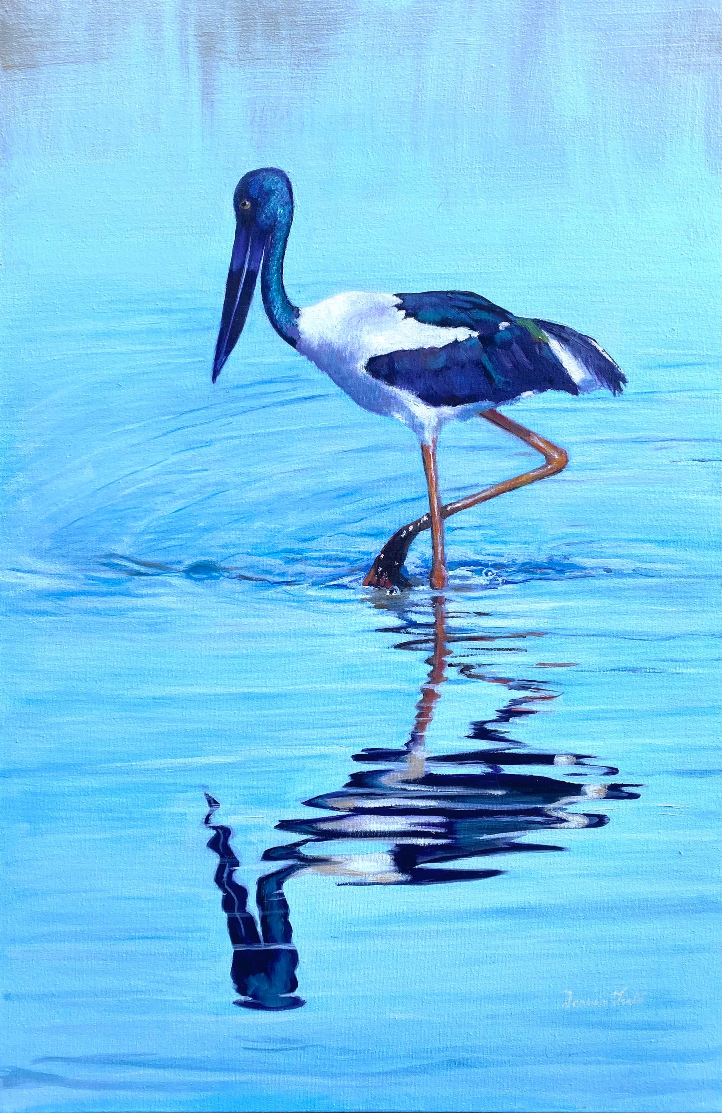 Black Necked Stork