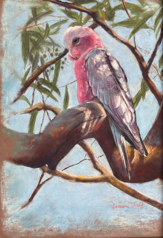 Art Print - Sitting Pretty