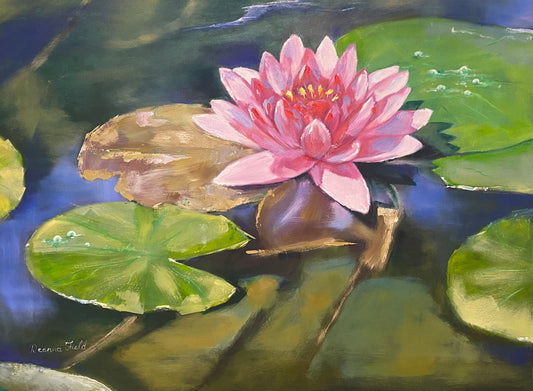 Art Print - Peaceful Pond