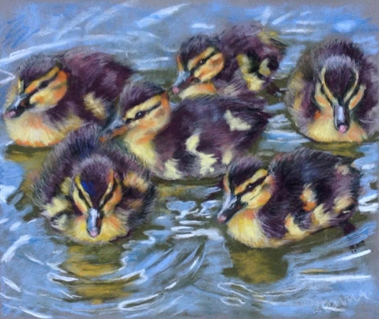 Fluffy ducks - Soft pastel on paper