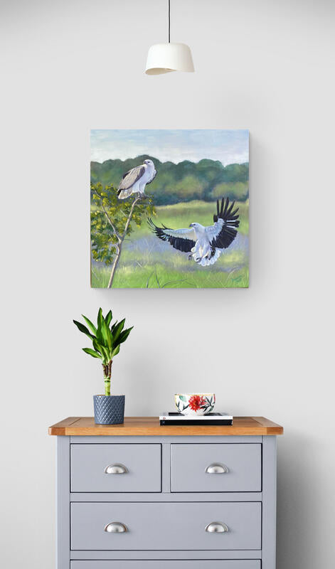 White bellied Sea eagle - oil on canvas